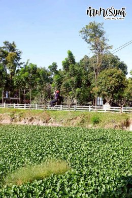 บริษัท ไทยออยล์ จำกัด (มหาชน) 16 ธันวาคม 2568