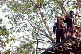 บริษัท ไทยออยล์ จำกัด (มหาชน) 16 ธันวาคม 2568