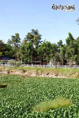 บริษัท ไทยออยล์ จำกัด (มหาชน) 16 ธันวาคม 2568