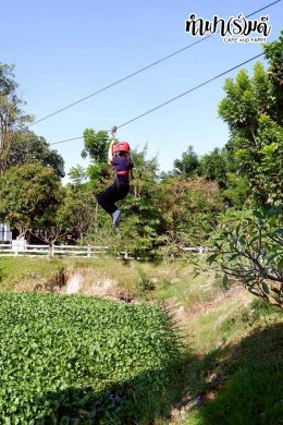 บริษัท ไทยออยล์ จำกัด (มหาชน) 16 ธันวาคม 2568