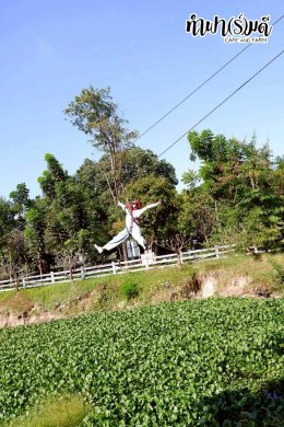 บริษัท ไทยออยล์ จำกัด (มหาชน) 16 ธันวาคม 2568