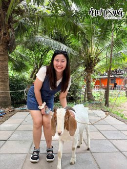 บริษัท รักษาความปลอดภัย ไจแอนท์กรุ๊ป จำกัด 05 กันยายน 2569