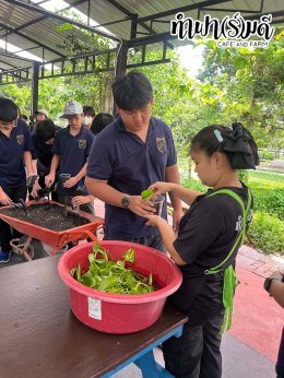 บริษัท เดอะ นิวตัน จำกัด 30 เมษายน 2569