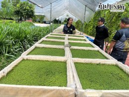 อบต.สันกำแพง 21 พฤษภาคม 2569
