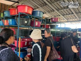 เทศบาลตำบลหนองบัว 24 กรกฎาคม 2569