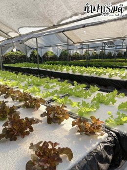 โรงเรียนสตรีมารดาพิทักษ์ 30 มกราคม 2569