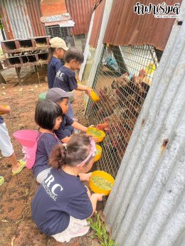 SRC International nursery and kindergarten (Sriracha) 16 กรกฎาคม 2568