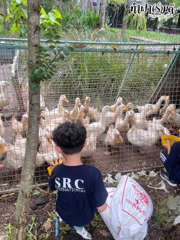 SRC International nursery and kindergarten (Sriracha) 16 กรกฎาคม 2568
