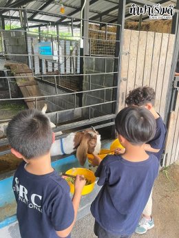 SRC International nursery and kindergarten (Sriracha) 16 กรกฎาคม 2568