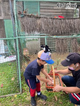 SRC International nursery and kindergarten (Sriracha) 16 กรกฎาคม 2568