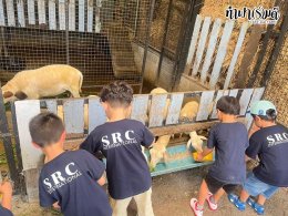 SRC International nursery and kindergarten (Sriracha) 16 กรกฎาคม 2568