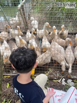 SRC International nursery and kindergarten (Sriracha) 16 กรกฎาคม 2568