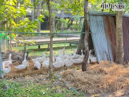 โรงเรียนกรุงเทพคริสเตียน 03 ธันวาคม 2568