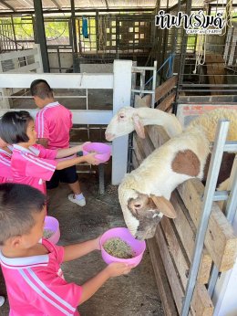 โรงเรียนกาญจนะวิทยา 04 ธันวาคม 2568