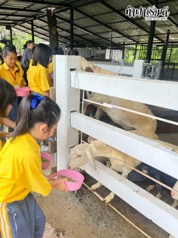 โรงเรียนกุลศิริศาสน์ 27 สิงหาคม  2568