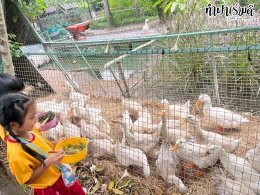 โรงเรียนกุลศิริศาสน์ 26 สิงหาคม 2568
