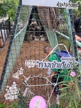โรงเรียนชุมชนวัดหนองรี 19 สิงหาคม 2568