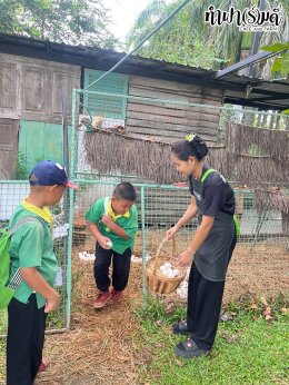 โรงเรียนชุมชนวัดหนองรี 19 สิงหาคม 2568