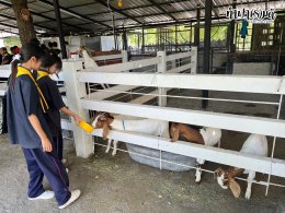โรงเรียนนวมินทราชินูทิศ เตรียมอุดมศึกษาพัฒนาการ 22 กันยายน 2568
