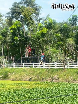 โรงเรียนนานาชาติแองโกลสิงคโปร์ 21 พฤศจิกายน 2568