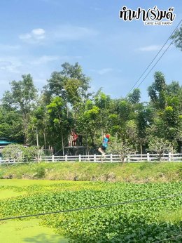 โรงเรียนนานาชาติแองโกลสิงคโปร์ 21 พฤศจิกายน 2568