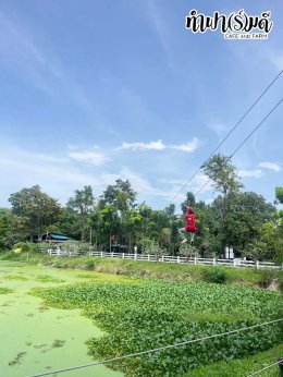 โรงเรียนนานาชาติแองโกลสิงคโปร์ 21 พฤศจิกายน 2568