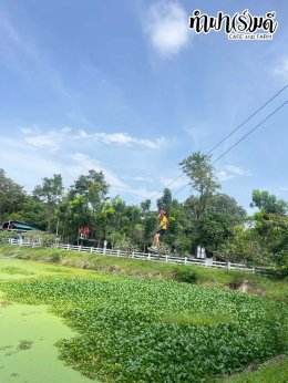 โรงเรียนนานาชาติแองโกลสิงคโปร์ 21 พฤศจิกายน 2568