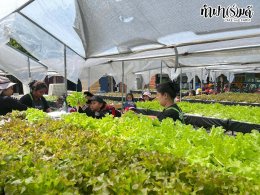 โรงเรียน นานาชาติไทย-จีน 11 พฤศจิกายน 2568