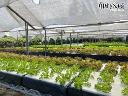 โรงเรียน นานาชาติไทย-จีน 11 พฤศจิกายน 2568