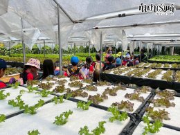 โรงเรียน นานาชาติไทย-จีน 11 พฤศจิกายน 2568