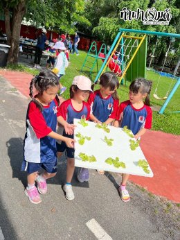 โรงเรียน นานาชาติไทย-จีน 11 พฤศจิกายน 2568