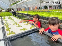 โรงเรียน นานาชาติไทย-จีน 11 พฤศจิกายน 2568