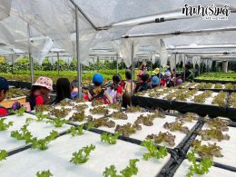 โรงเรียน นานาชาติไทย-จีน 11 พฤศจิกายน 2568