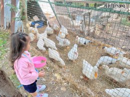 โรงเรียน นารานุบาล 28 พฤศจิกายน 2568