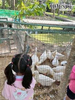 โรงเรียน นารานุบาล 28 พฤศจิกายน 2568