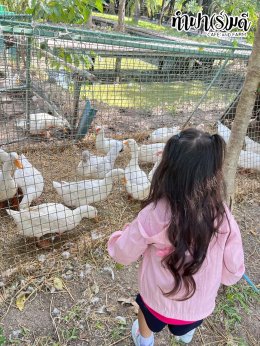 โรงเรียน นารานุบาล 28 พฤศจิกายน 2568