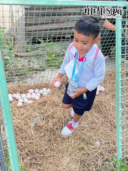 โรงเรียน นารานุบาล 28 พฤศจิกายน 2568