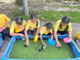 โรงเรียนบ้านซากพุดซา 05 สิงหาคม 2568