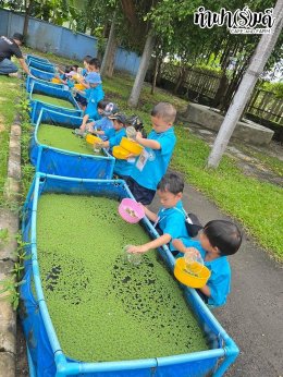 เทศบาลตำบลเมืองเก่า 18 กรกฎาคม 2568