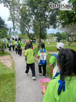 โรงเรียน บ้านเนินตอง หนองขาม ศรีราชา 26 กันยายน 2568