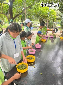 โรงเรียน บ้านเนินตอง หนองขาม ศรีราชา 26 กันยายน 2568