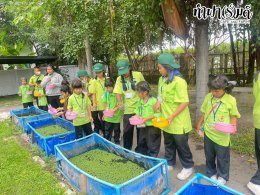 โรงเรียน บ้านเนินตอง หนองขาม ศรีราชา 26 กันยายน 2568