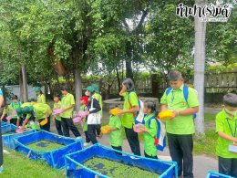 โรงเรียน บ้านเนินตอง หนองขาม ศรีราชา 26 กันยายน 2568