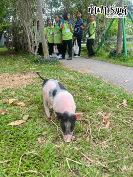 โรงเรียน บ้านเนินตอง หนองขาม ศรีราชา 26 กันยายน 2568