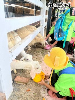 โรงเรียน บ้านเนินตอง หนองขาม ศรีราชา 26 กันยายน 2568