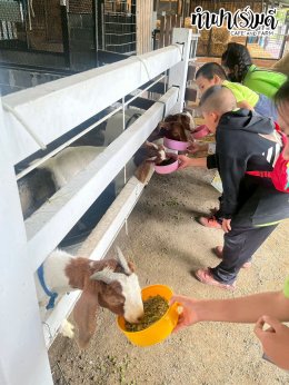 โรงเรียน บ้านเนินตอง หนองขาม ศรีราชา 26 กันยายน 2568