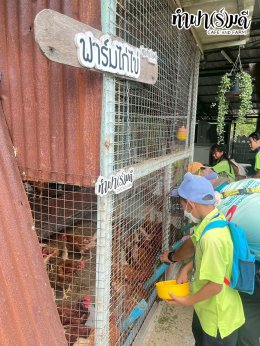 โรงเรียน บ้านเนินตอง หนองขาม ศรีราชา 26 กันยายน 2568