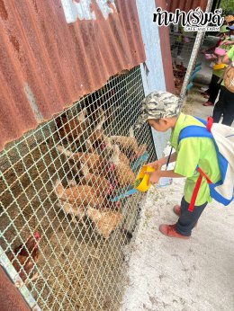 โรงเรียน บ้านเนินตอง หนองขาม ศรีราชา 26 กันยายน 2568