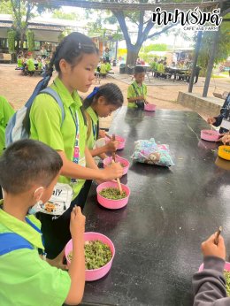 โรงเรียน บ้านเนินตอง หนองขาม ศรีราชา 26 กันยายน 2568