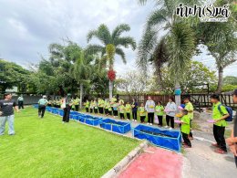 โรงเรียน บ้านเนินตอง หนองขาม ศรีราชา 26 กันยายน 2568